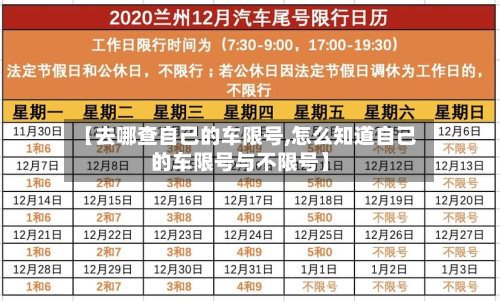 【去哪查自己的车限号,怎么知道自己的车限号与不限号】-第1张图片