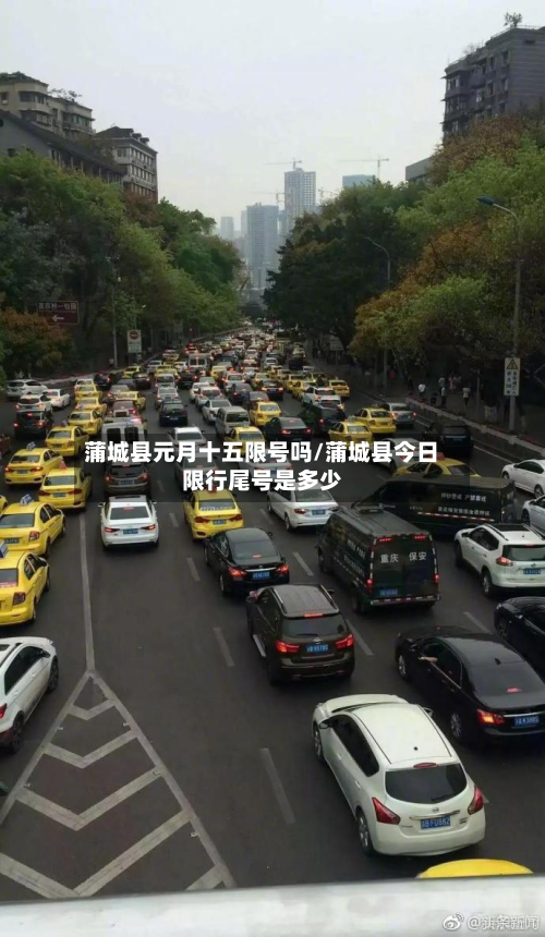 蒲城县元月十五限号吗/蒲城县今日限行尾号是多少-第2张图片