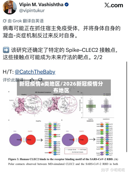 新冠疫情a类地区/2026新冠疫情分布地区