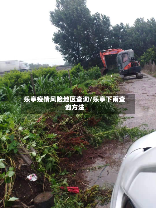 乐亭疫情风险地区查询/乐亭下雨查询方法-第3张图片