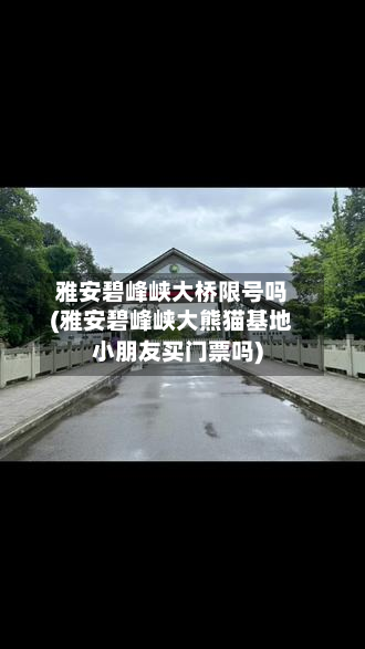 雅安碧峰峡大桥限号吗(雅安碧峰峡大熊猫基地小朋友买门票吗)-第1张图片