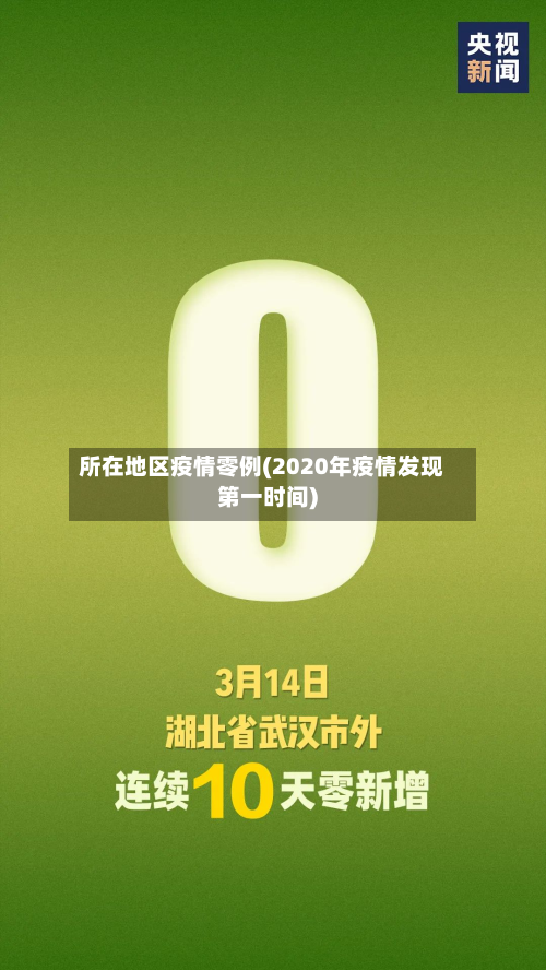 所在地区疫情零例(2020年疫情发现第一时间)-第2张图片