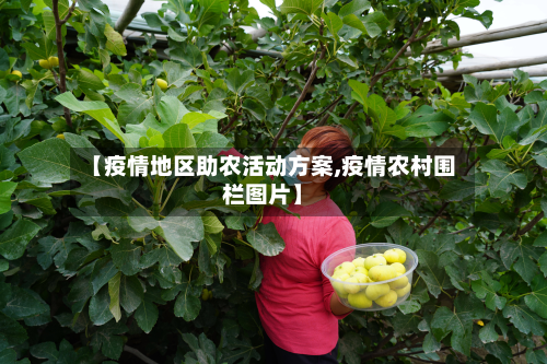 【疫情地区助农活动方案,疫情农村围栏图片】-第2张图片
