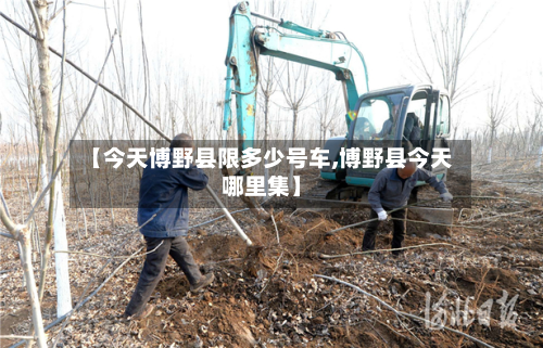 【今天博野县限多少号车,博野县今天哪里集】-第3张图片