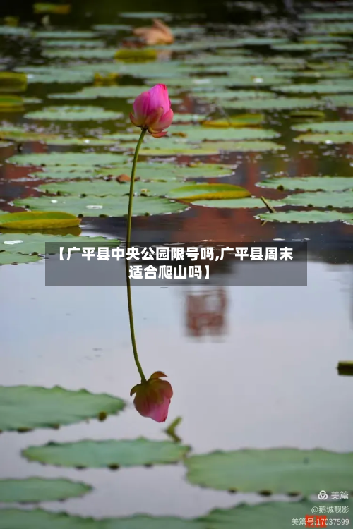 【广平县中央公园限号吗,广平县周末适合爬山吗】-第2张图片