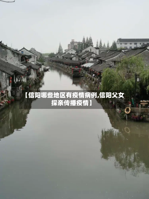 【信阳哪些地区有疫情病例,信阳父女探亲传播疫情】-第2张图片