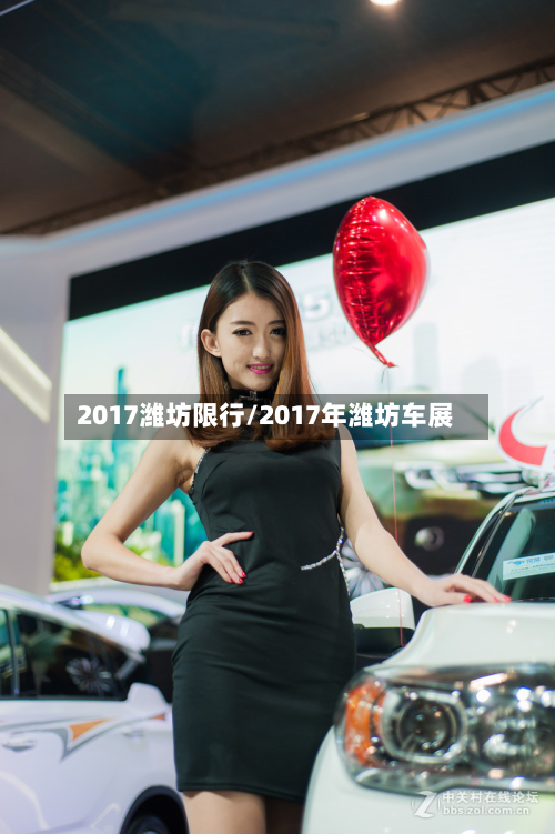 2017潍坊限行/2017年潍坊车展