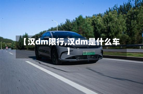 【汉dm限行,汉dm是什么车】-第2张图片