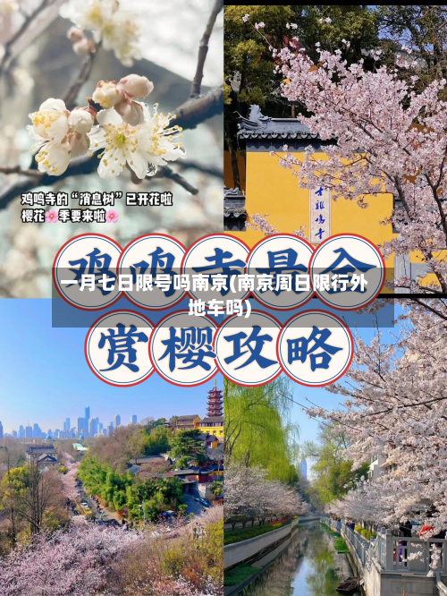 一月七日限号吗南京(南京周日限行外地车吗)-第3张图片