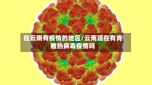 在云南有疫情的地区/云南现在有肯雅热病毒疫情吗-第1张图片