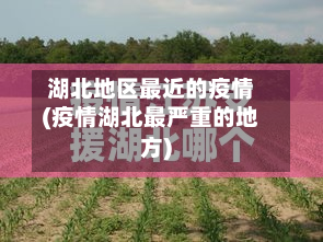 湖北地区最近的疫情(疫情湖北最严重的地方)-第3张图片
