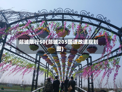 郯城限行50(郯城205国道改道规划图)-第1张图片