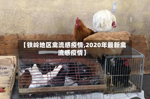 【铁岭地区禽流感疫情,2020年最新禽流感疫情】