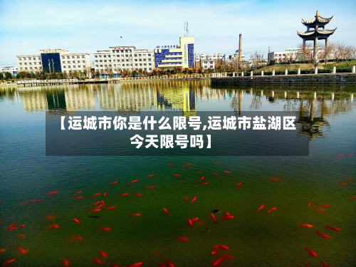 【运城市你是什么限号,运城市盐湖区今天限号吗】
