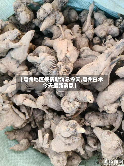 【亳州地区疫情新消息今天,亳州白术今天最新消息】-第3张图片
