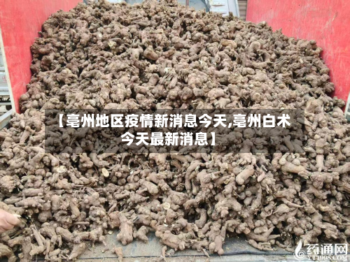 【亳州地区疫情新消息今天,亳州白术今天最新消息】-第1张图片