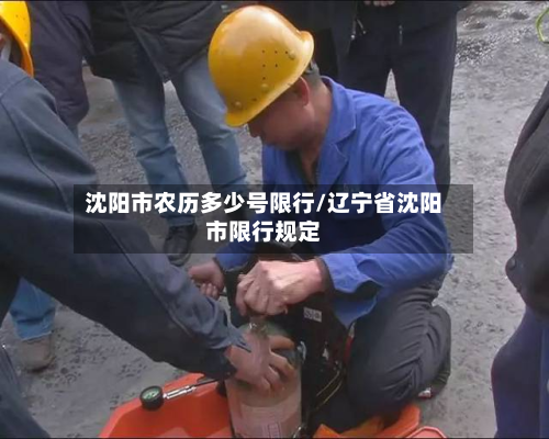 沈阳市农历多少号限行/辽宁省沈阳市限行规定-第1张图片