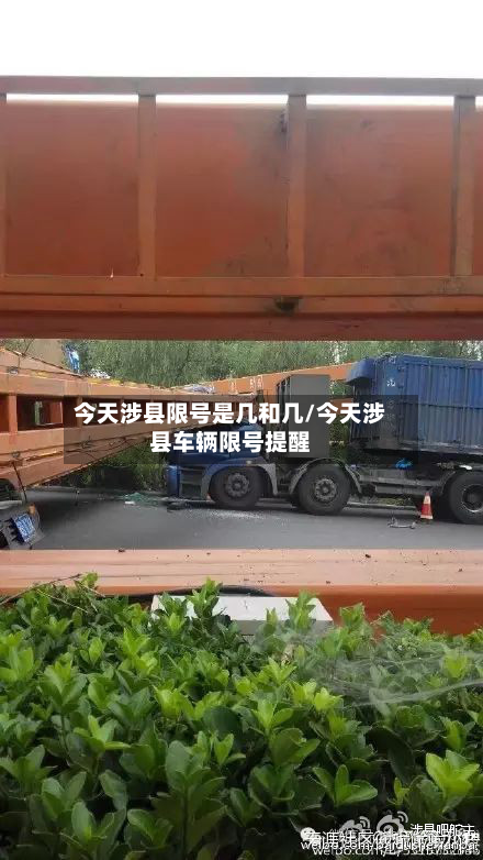 今天涉县限号是几和几/今天涉县车辆限号提醒-第2张图片