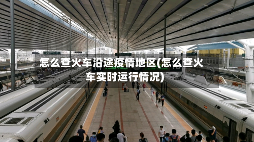 怎么查火车沿途疫情地区(怎么查火车实时运行情况)-第1张图片