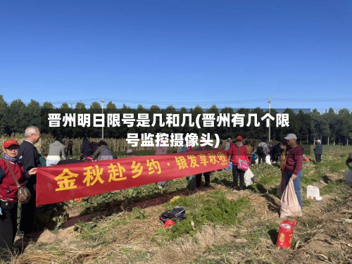晋州明日限号是几和几(晋州有几个限号监控摄像头)-第1张图片