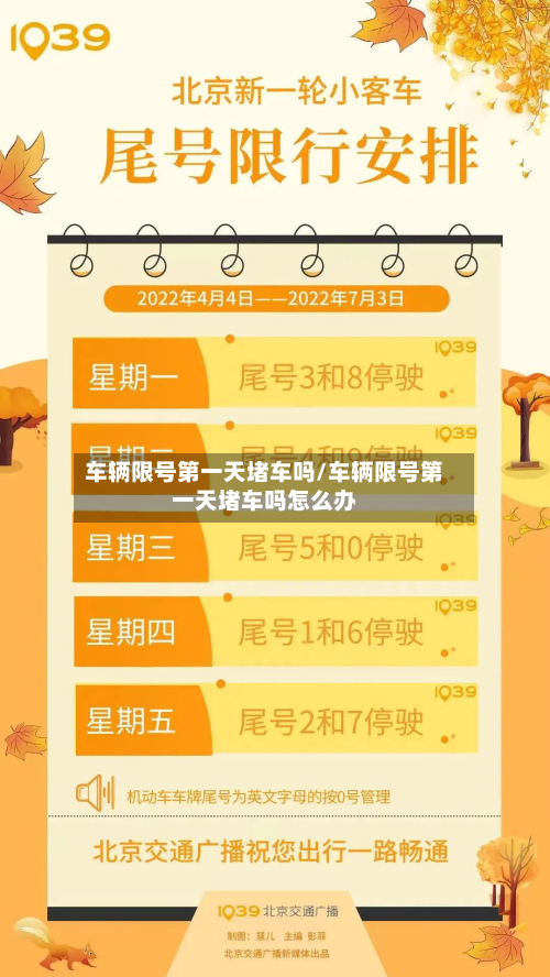 车辆限号第一天堵车吗/车辆限号第一天堵车吗怎么办-第2张图片