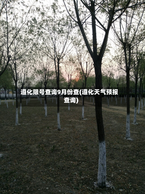 遵化限号查询9月份查(遵化天气预报查询)-第1张图片