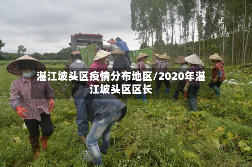 湛江坡头区疫情分布地区/2020年湛江坡头区区长-第2张图片