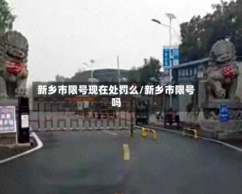 新乡市限号现在处罚么/新乡市限号吗-第2张图片