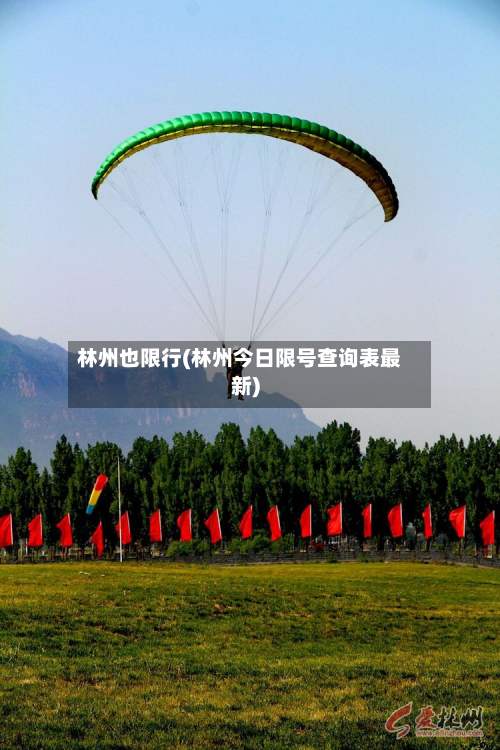 林州也限行(林州今日限号查询表最新)-第1张图片