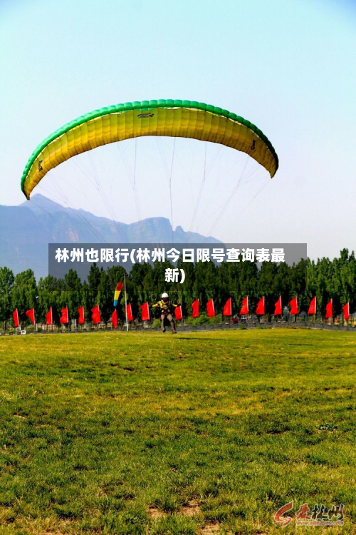 林州也限行(林州今日限号查询表最新)-第2张图片
