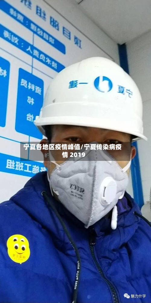 宁夏各地区疫情峰值/宁夏传染病疫情 2019