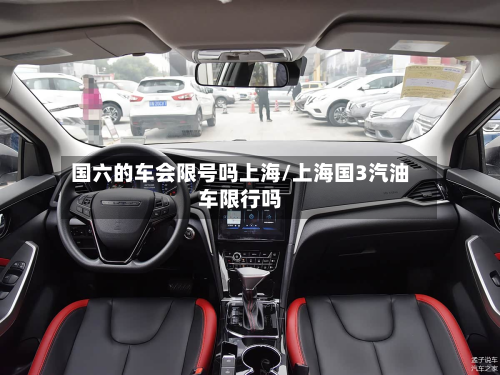 国六的车会限号吗上海/上海国3汽油车限行吗-第2张图片