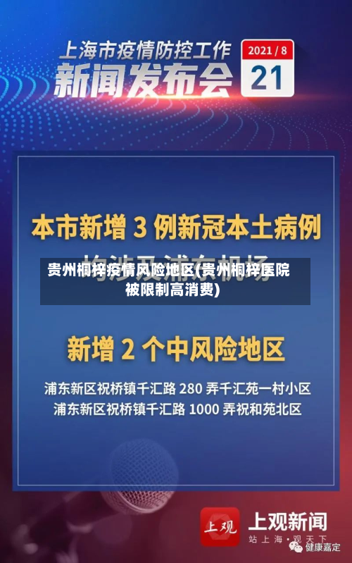 贵州桐梓疫情风险地区(贵州桐梓医院被限制高消费)-第2张图片