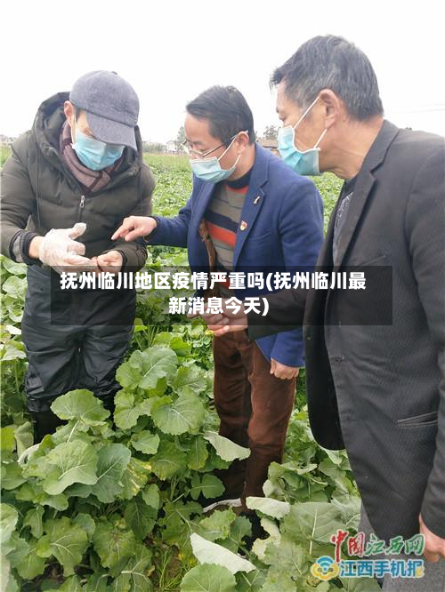 抚州临川地区疫情严重吗(抚州临川最新消息今天)-第1张图片