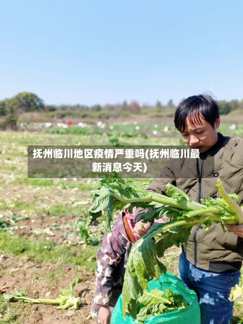 抚州临川地区疫情严重吗(抚州临川最新消息今天)-第2张图片