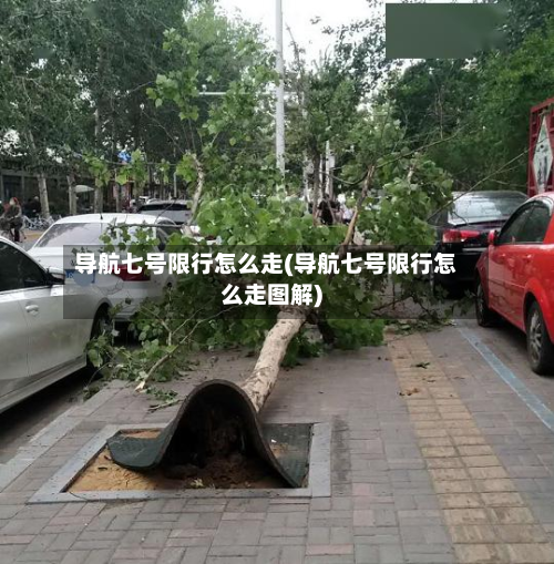 导航七号限行怎么走(导航七号限行怎么走图解)-第2张图片