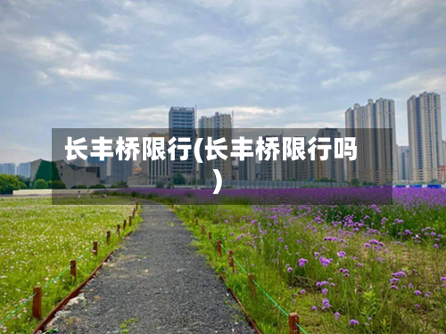 长丰桥限行(长丰桥限行吗)-第1张图片