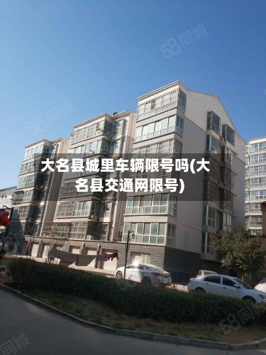 大名县城里车辆限号吗(大名县交通网限号)-第2张图片