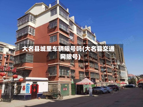 大名县城里车辆限号吗(大名县交通网限号)