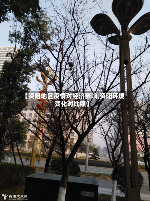 【资阳地区疫情对经济影响,资阳环境变化对比照】-第2张图片
