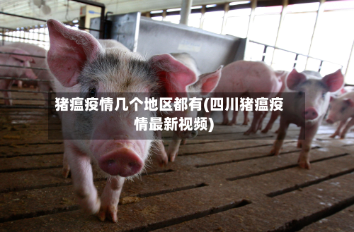 猪瘟疫情几个地区都有(四川猪瘟疫情最新视频)