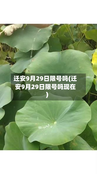 迁安9月29日限号吗(迁安9月29日限号吗现在)-第1张图片