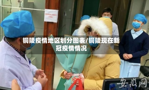 铜陵疫情地区划分图表/铜陵现在新冠疫情情况