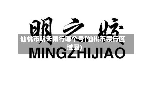 仙桃市明天限行哪个号(仙桃市禁行区域图)