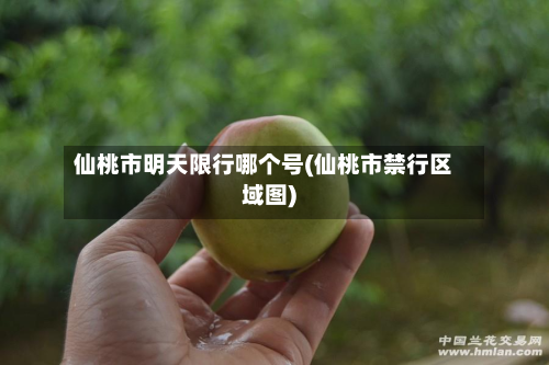 仙桃市明天限行哪个号(仙桃市禁行区域图)-第2张图片