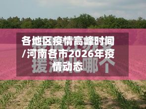 各地区疫情高峰时间/河南各市2026年疫情动态-第3张图片