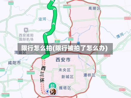 限行怎么拍(限行被拍了怎么办)-第1张图片