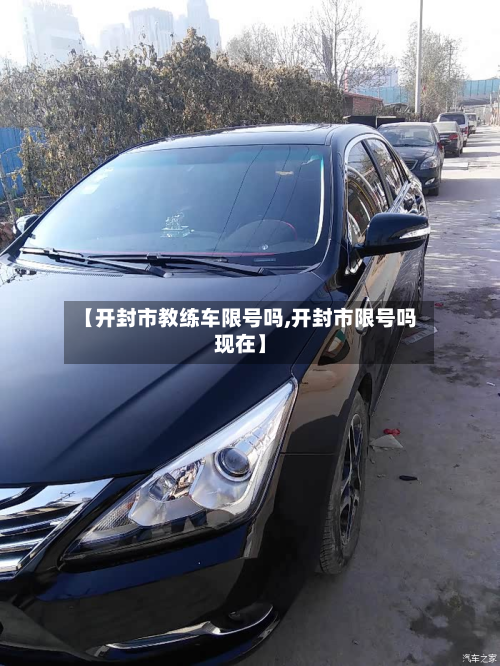 【开封市教练车限号吗,开封市限号吗现在】-第2张图片