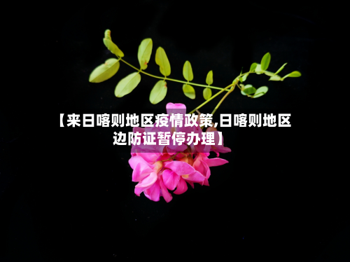 【来日喀则地区疫情政策,日喀则地区边防证暂停办理】-第2张图片