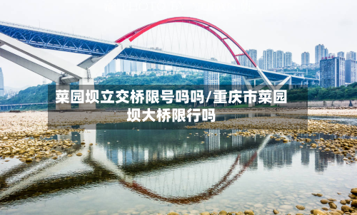 菜园坝立交桥限号吗吗/重庆市菜园坝大桥限行吗-第1张图片